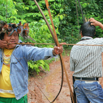 Der Kampf um Amazonien