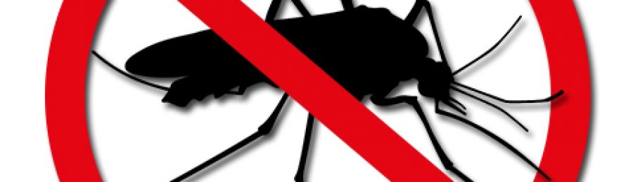 Brasilien: Das Gelbfieber ist zurück.