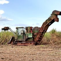 Brasiliens stählerne Landarbeiter