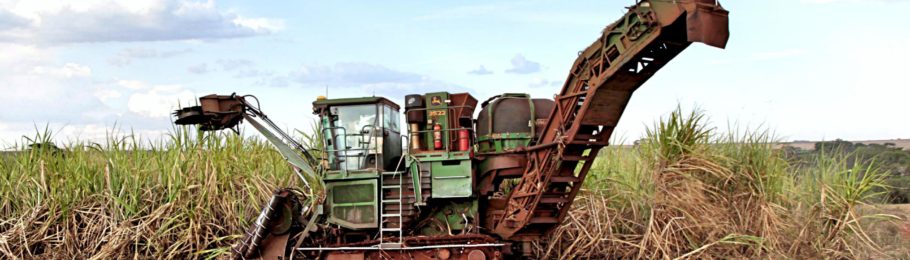 Brasiliens stählerne Landarbeiter