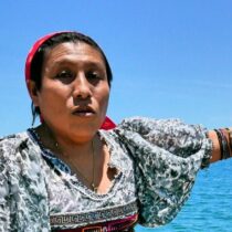 Panama: Eine Insel zieht um