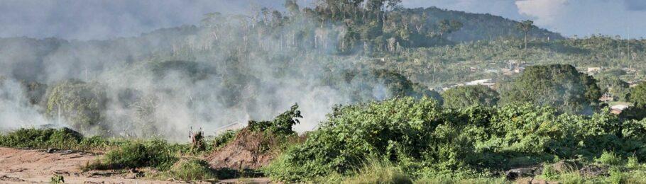 Der Amazonaswald in Flammen