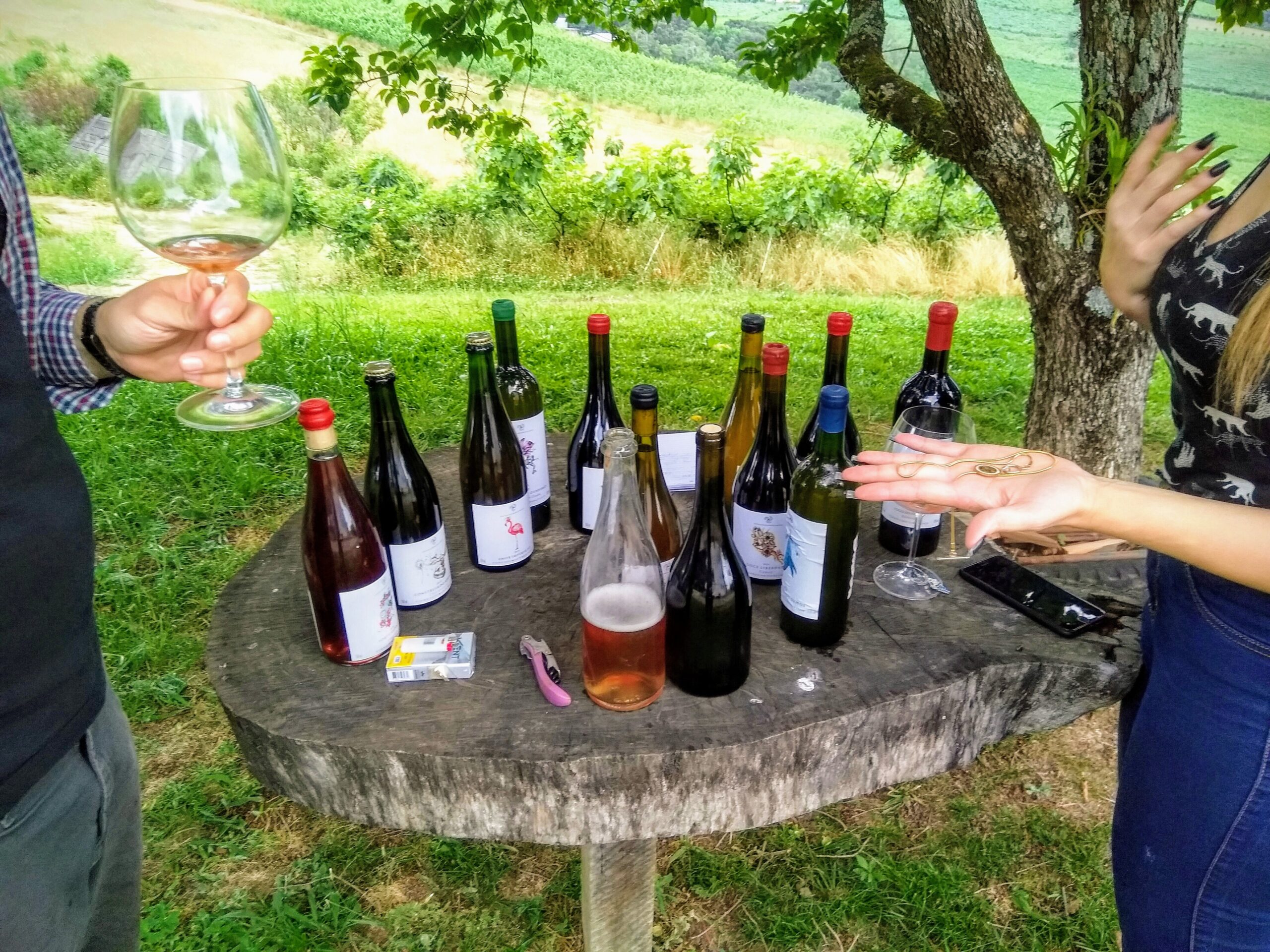 Die Weinrevoluzzer der Serra Gaúcha
