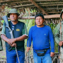 Krieg um den Amazonas